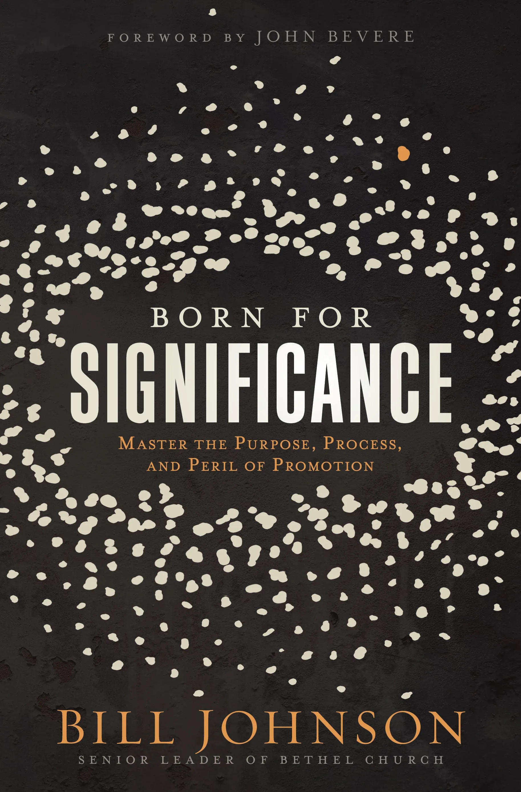 Born for Significance: Master the Purpose, Process, and Peril of Promotion